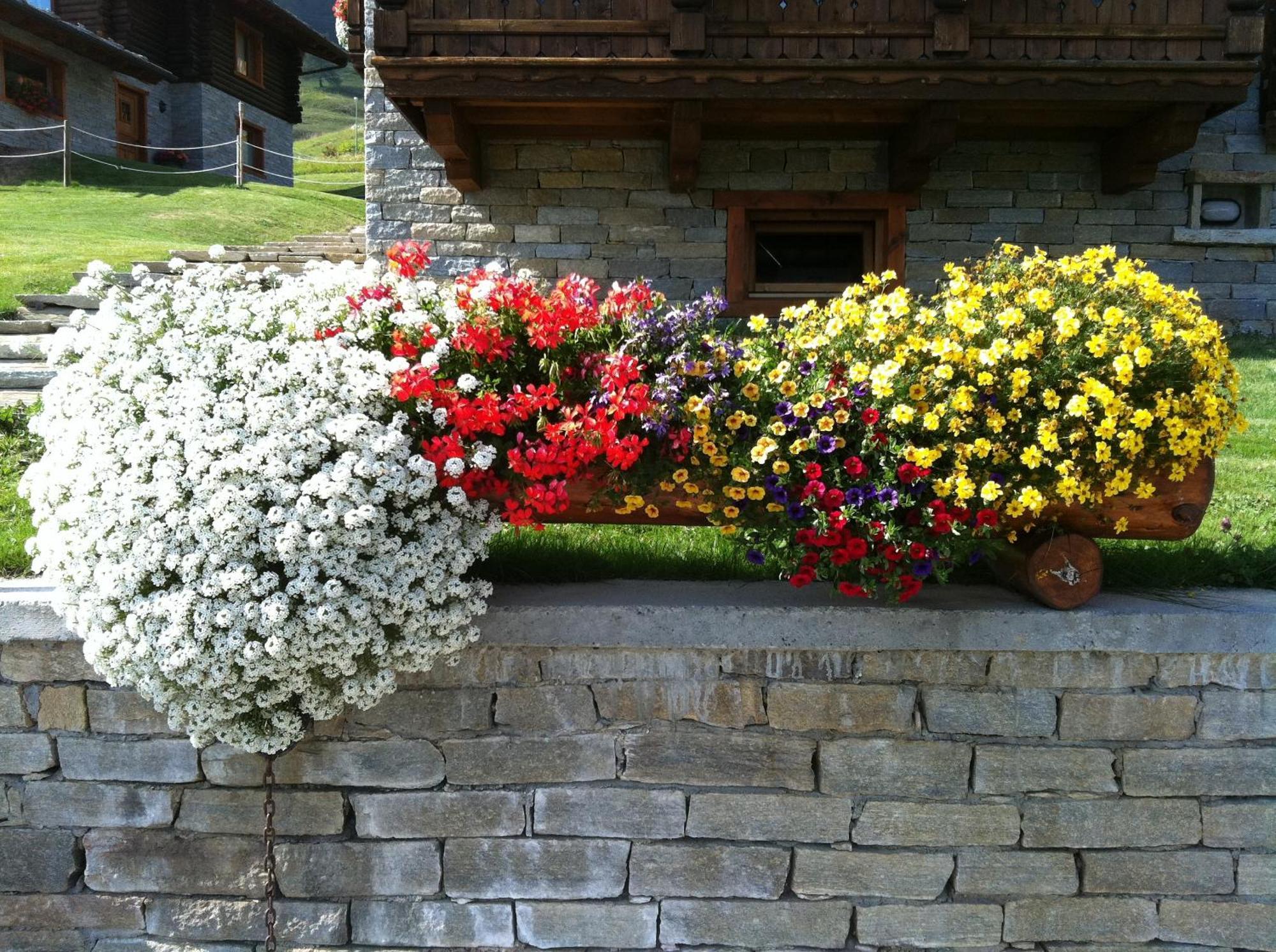 Residence Lo Peyo ชัมโปลุก ภายนอก รูปภาพ